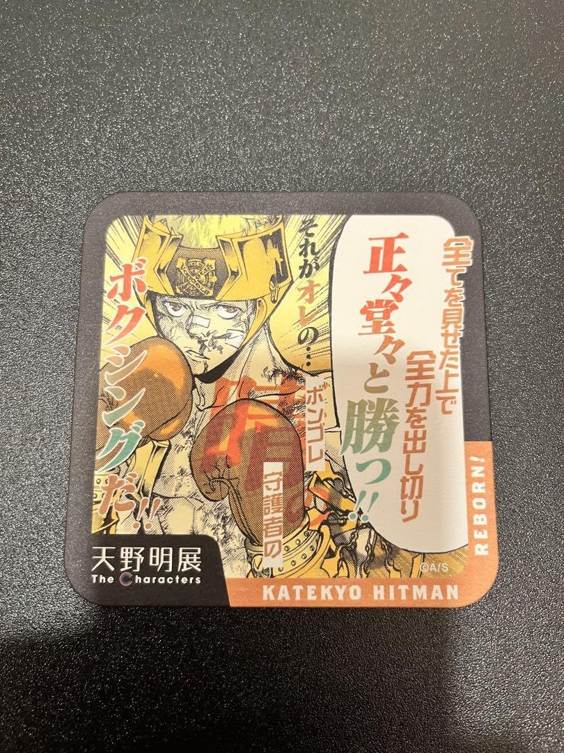 Amazon.co.jp: 天野明展 家庭教師のヒットマンREBORN ! アート